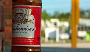 budweiser-populariteit-bier