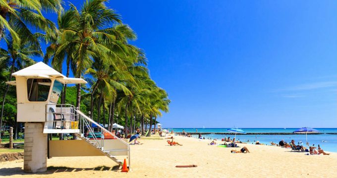 Hawaii-strand-kokosnoot